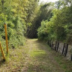 ★★　広大な５９１坪の山でキャンプや秘密基地作り　★★ - 不動産