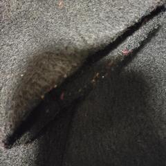 ダッフルコート NICE CLAUPの画像