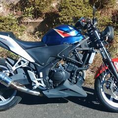 CBR250R　走行12900km　(No.2019)