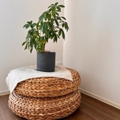 [お譲り先決定]IKEA バナナ繊維スツール