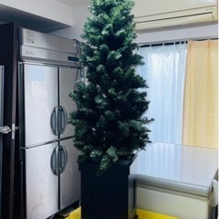 クリスマスツリーの画像