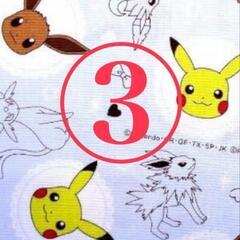 ポケカ  プレイマットケースの画像