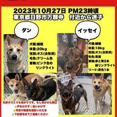 【急募】達成10,000円　ポスター剥がしにご協力下さい(グーグルマップが使える方) - 日野市