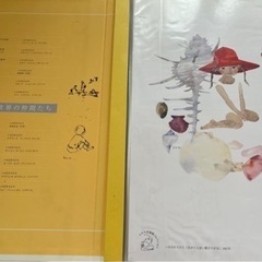 いわさきちひろと世界の仲間たち　画集　非売品の画像