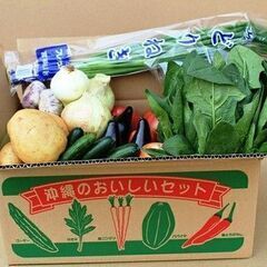 旬の野菜　＋タダでもらえる野菜