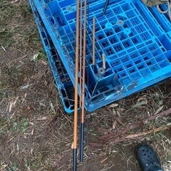 ヘラブナ　竿　浮の画像