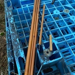 ヘラブナ　竿　浮の画像