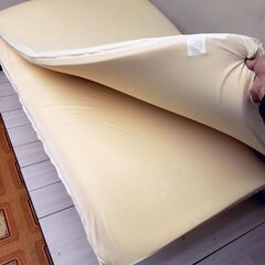 【コレ見て！寝心地最高】 True Sleeper/トゥルースリーパー  クイーンサイズ  低反発マットレスの画像