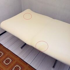 【コレ見て！寝心地最高】 True Sleeper/トゥルースリーパー  クイーンサイズ  低反発マットレスの画像