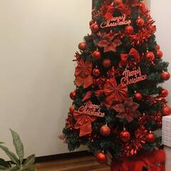 クリスマスツリー 180㎝