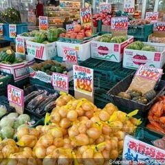 【オープニングスタッフ募集】12月に新規オープンの八百屋で共に働きませんか！？未経験でも問題なし！みんな未経験！スタートアップの会社で一緒に頑張りましょう！人間関係良好なノンストレスの職場です！の画像