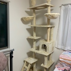キャットタワー　