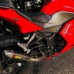 マフラ AKRAPOVIC アクラポビッチの画像