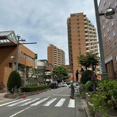 ペットOK交通誘導員（警備員）募集の画像