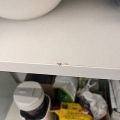 IKEA本棚(ホワイト)の画像