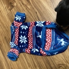犬 洋服 3Lの画像