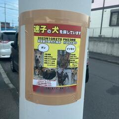【急募】達成10,000円　ポスター剥がしにご協力下さい(グーグルマップが使える方) − 東京都