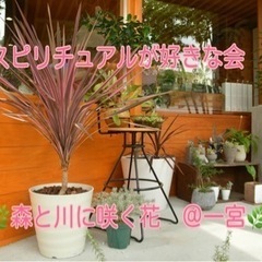 心の繋がりを大切にするスピ会(瞑想、浄化がメインになります)の画像