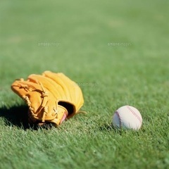 キャッチボール仲間募集！ 中野区役所付近 四季の森公園北側 の画像