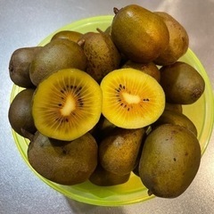 🥝レインボーレッドキウイ①🥝