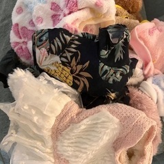 わんちゃん　ねこちゃん　洋服　まとめ売りの画像