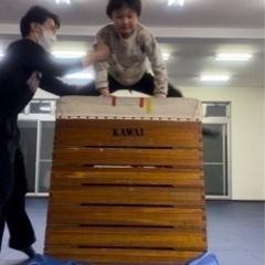 子どもの体操教室の画像