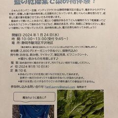 藍染め体験会