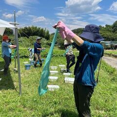 新春1月24日　藍染め体験会　開催します。の画像