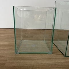 小型ハイタイプ水槽　