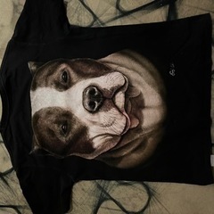 ピットブルテリアのTシャツ