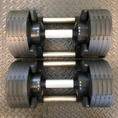 FLEXBELL 20kg 2kg刻み 2個セット フレックスベ...