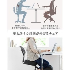 (取引決定)サンワダイレクト　バランスチェアの画像