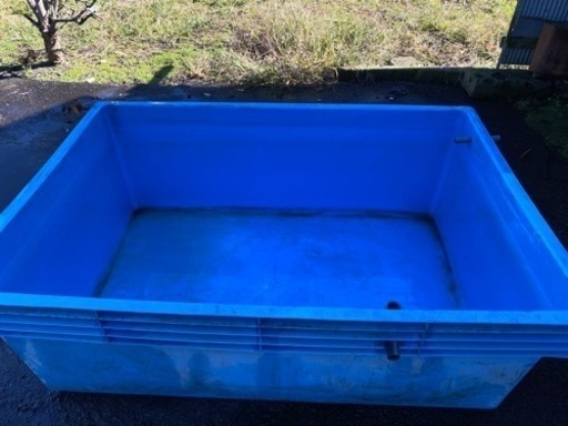 早もの勝ち！！！ブルコン800 水槽