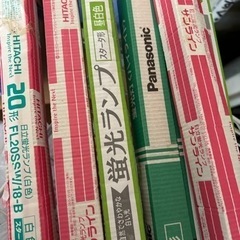 電球です