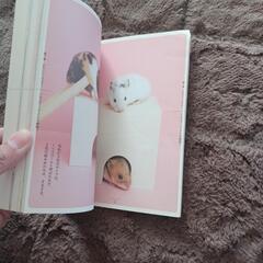 ハムスターの飼い方の本の画像