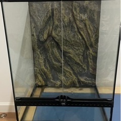 PRIVEVE 3Dジャガードワンピースタグ付き