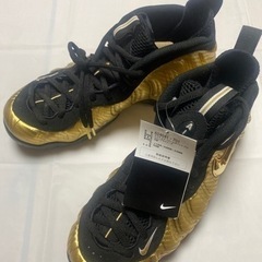 AIR FOAMPOSITE PRO 27.5cm