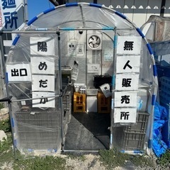 陽めだかメダカ無人販売所　補充速報は公式LINEよりお知らせします