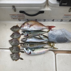 けいはんな海釣り部🔰🎣