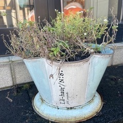 傘のプランター、壁掛けプランター