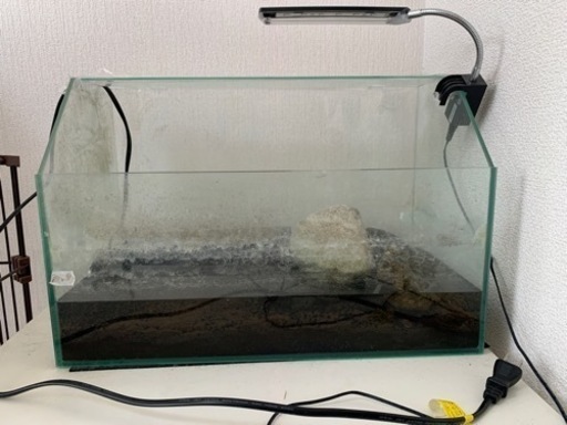 水槽とLEDライトと濾過機