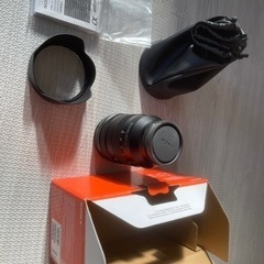 SONY FE24-105 F4G OSS レンズ
