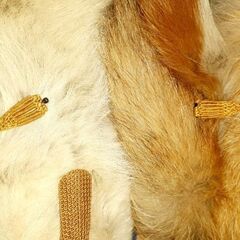 🦊レッドフォックス 丸一匹マフラー 高級マフラー 一点物 貴重の画像