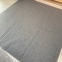 【無料】電気カーペット、ホットカーペット