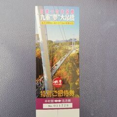 九重夢大吊橋　チケット