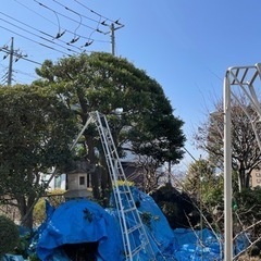 年度末に向けてお庭をスッキリさせませんか？