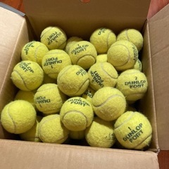 テニスボール🎾中古　約80球