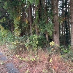 茨城県水戸市藤井町 #159 不動産0円物件 − 茨城県