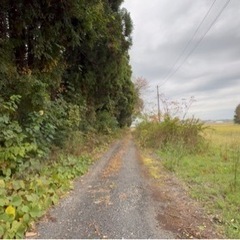 茨城県水戸市藤井町 #159 不動産0円物件 - 土地販売/土地売買
