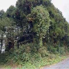 茨城県水戸市藤井町 #159 不動産0円物件 - 水戸市